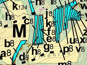 Dražba lesa, Ivančice, 477 m2