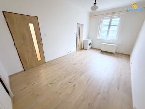 Pronájem bytu 1+kk, Praha - Nusle, Na Veselí, 29 m2