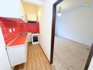 Pronájem bytu 1+kk, Praha - Nusle, Na Veselí, 29 m2