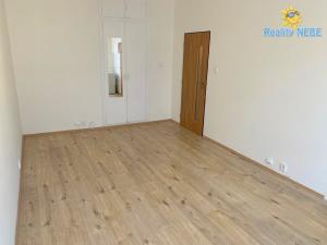 Pronájem bytu 1+kk, Praha - Nusle, Na Veselí, 29 m2