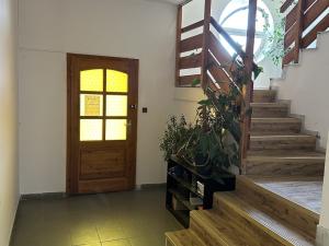 Prodej obchodního prostoru, Držovice, U cihelny, 291 m2