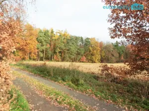 Prodej pozemku pro bydlení, Mrač, 608 m2