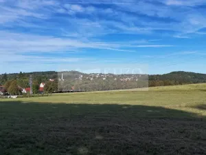 Prodej pozemku pro bydlení, Velké Popovice, Nová Lipová, 1289 m2