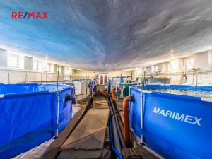 Pronájem skladu, Vranov, 1310 m2