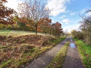 Prodej pozemku pro bydlení, Daleké Dušníky, 1217 m2