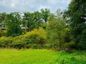 Prodej louky, Rybníky, 1277 m2