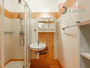 Pronájem bytu 1+kk, Břeclav, třída 1. máje, 20 m2