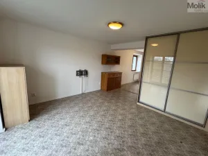 Pronájem bytu 2+kk, Most, Mikoláše Alše, 54 m2