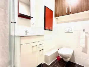 Pronájem bytu 1+1, Hodonín, Družstevní čtvrť, 37 m2