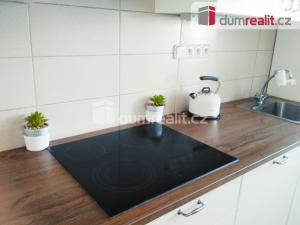 Pronájem bytu 3+1, Ústí nad Labem - Střekov, Pionýrů, 56 m2