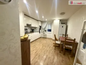 Pronájem bytu 3+1, Ústí nad Labem - Střekov, Pionýrů, 56 m2