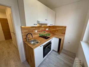 Prodej bytu 1+1, Ústí nad Labem - Severní Terasa, Šrámkova, 34 m2