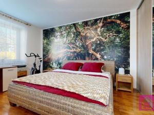 Prodej bytu 4+1, Hodonín, Sv. Čecha, 105 m2