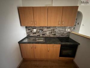 Pronájem bytu 2+kk, Litvínov - Hamr, Hamerská, 40 m2