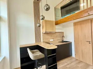 Pronájem bytu 1+kk, Praha - Nové Město, Sokolská, 17 m2