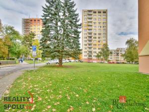 Pronájem bytu 2+1, České Budějovice, 59 m2