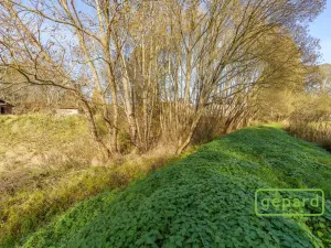 Prodej rybníku, Bochov - Dlouhá Lomnice, 5195 m2