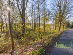 Prodej rybníku, Bochov - Dlouhá Lomnice, 5195 m2