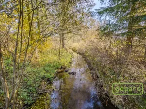 Prodej rybníku, Bochov - Dlouhá Lomnice, 5195 m2