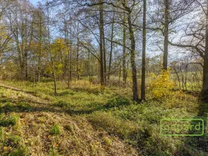 Prodej rybníku, Bochov - Dlouhá Lomnice, 5195 m2