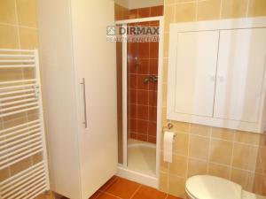 Prodej bytu 1+kk, Plzeň - Jižní Předměstí, Goldscheiderova, 38 m2