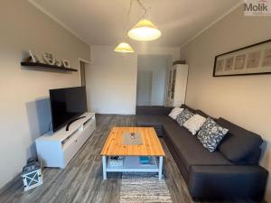 Pronájem bytu 3+kk, Most, Zdeňka Štěpánka, 40 m2