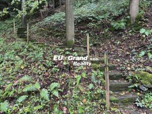 Prodej chalupy, Nová Ves, 45 m2