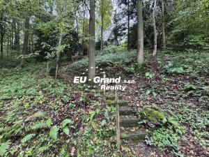 Prodej chalupy, Nová Ves, 45 m2