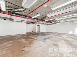 Pronájem kanceláře, Praha - Holešovice, Plynární, 670 m2
