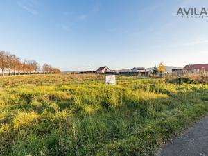 Prodej pozemku pro bydlení, Trhový Štěpánov, Okružní, 1294 m2