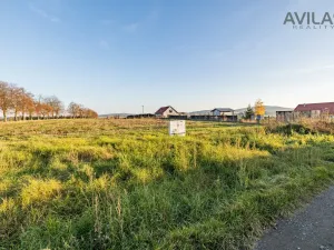 Prodej pozemku pro bydlení, Trhový Štěpánov, Okružní, 1294 m2