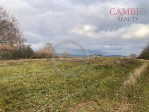 Prodej louky, Nepomuk, 3848 m2