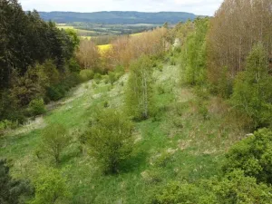 Dražba louky, Křenov, 16180 m2