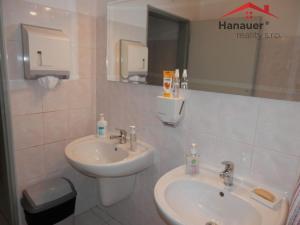 Pronájem kanceláře, Ústí nad Labem - Ústí nad Labem-centrum, U Vlečky, 40 m2