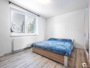 Prodej bytu 2+1, Pardubice - Zelené Předměstí, Pichlova, 52 m2