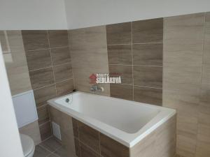 Pronájem bytu 1+1, Děčín - Děčín II-Nové Město, Horská, 42 m2