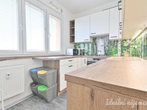 Pronájem bytu 3+1, Brno, Vysoká, 58 m2