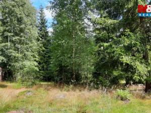 Prodej chaty, Křižánky - České Křižánky, 41 m2