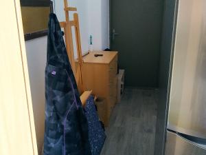 Pronájem bytu 1+kk, Holovousy, 20 m2