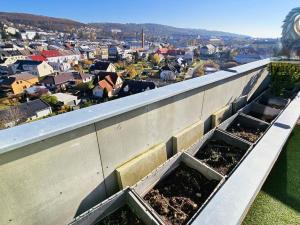 Prodej bytu 4+kk, Šternberk, Babická, 99 m2