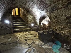 Pronájem restaurace, Prachatice, Velké náměstí, 200 m2