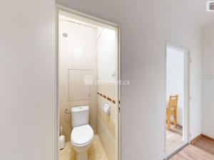 Pronájem bytu 2+1, Opava - Předměstí, Otická, 59 m2