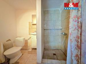 Prodej rodinného domu, Nový Bydžov - Vysočany, 43 m2