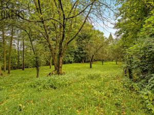 Prodej rodinného domu, Žamberk, U Líšnice, 170 m2