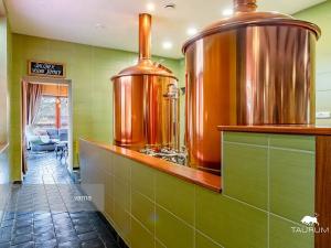 Prodej restaurace, Rokycany, Sokolská, 413 m2