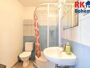 Prodej výrobních prostor, Břežany II, 128 m2