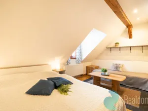 Prodej apartmánu, Benešov nad Černou, 295 m2