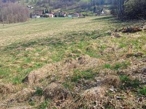 Prodej pozemku pro bydlení, Heřmanov - Fojtovice, 4280 m2