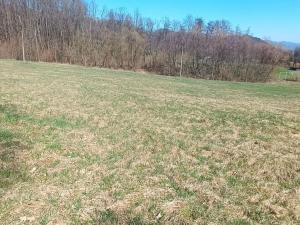 Prodej pozemku pro bydlení, Heřmanov - Fojtovice, 4280 m2