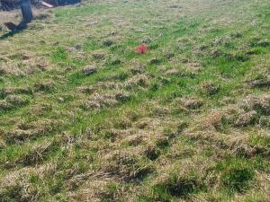 Prodej pozemku pro bydlení, Heřmanov - Fojtovice, 1263 m2